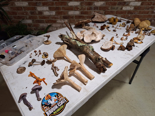 Mushroom Morning, with Shroom treats @ Happy River Retreat