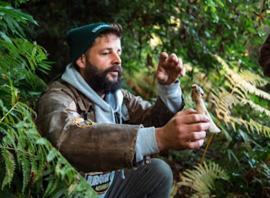 Mushroom Hunting with Forage London