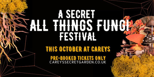Secret Fungi Festival @ Carey’s Secret Gardens