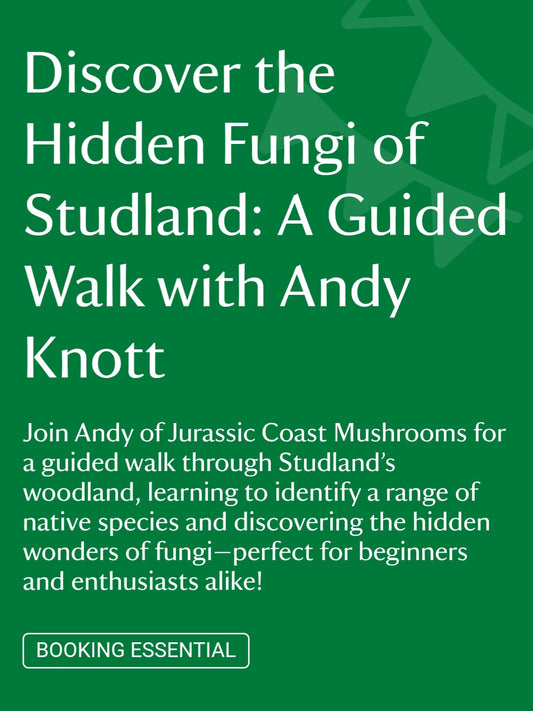 Fungi Forays within the National Trust’s Studland woodland