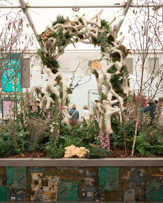 Behind the Scenes Pt.4 - RHS Chelsea Flower Show