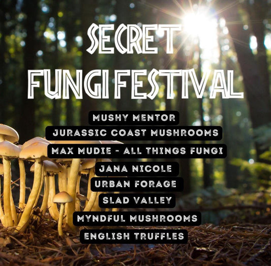 Discover the Magic of Carey's Secret Fungi Festival
