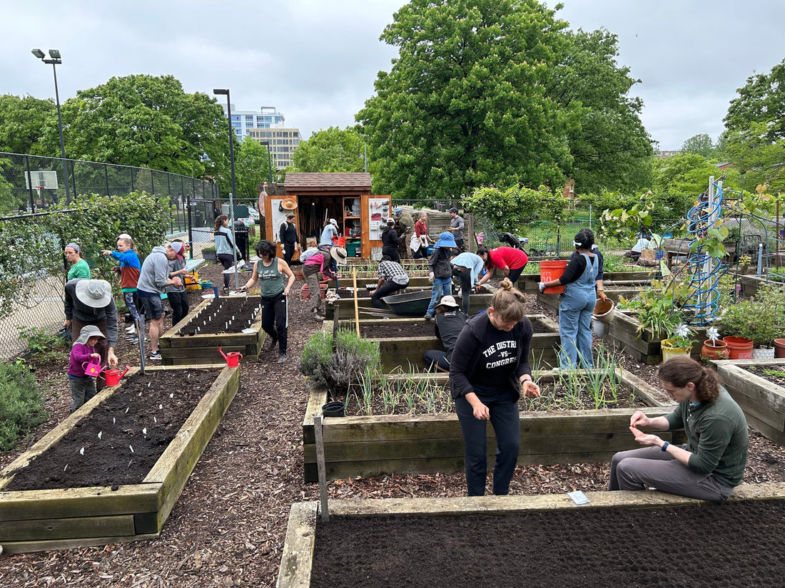 We’re Growing More Than Mushrooms, We’re Supporting Our Communities Too!