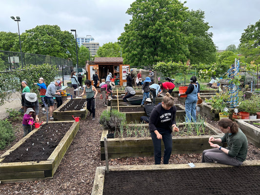 We’re Growing More Than Mushrooms, We’re Supporting Our Communities Too!