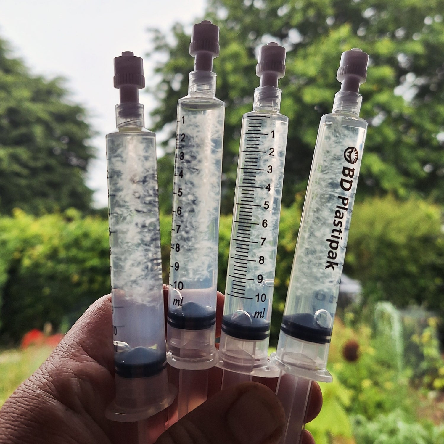 Commercial Liquid Cultures