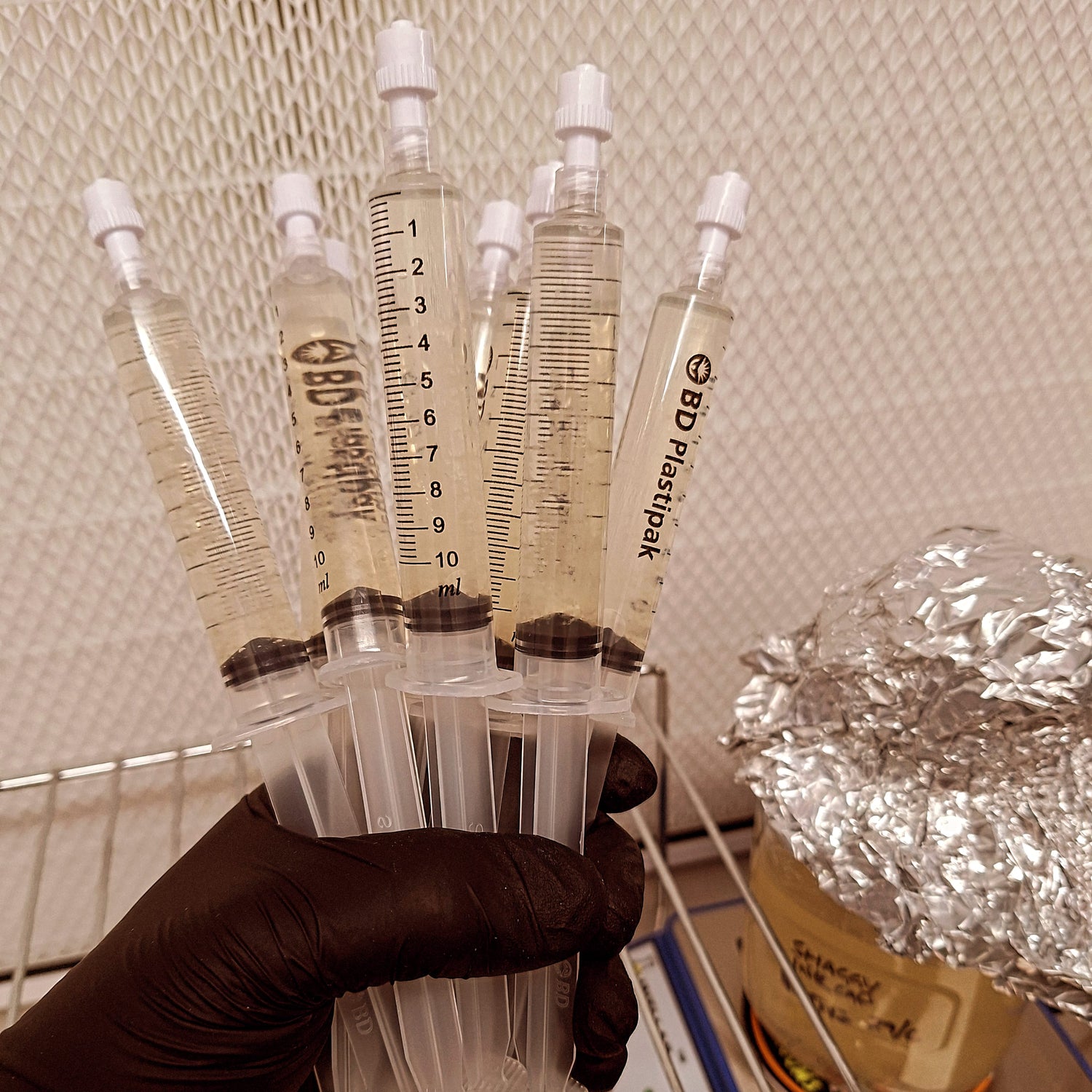 Native Liquid Cultures