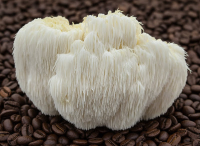 Lions Mane Coffee