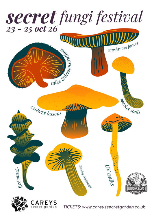 Secret Fungi Festival 2026 @ Carey’s Secret Garden