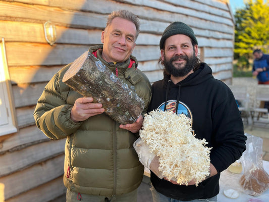 Mushroom Growing workshops at Jurassic Coast Mushrooms HQ
