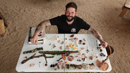 Fungi Foraging with Jurassic Coast Mushrooms - Sat 22nd Nov 2025