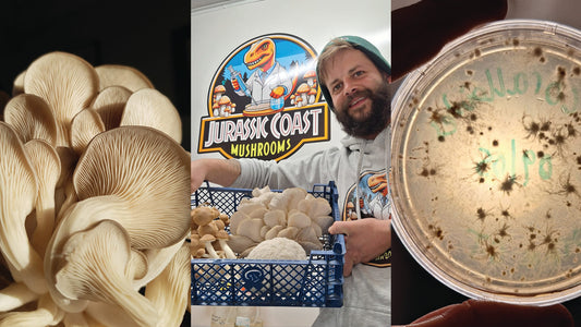 From Spore to Store: Mushroom Growing Workshop