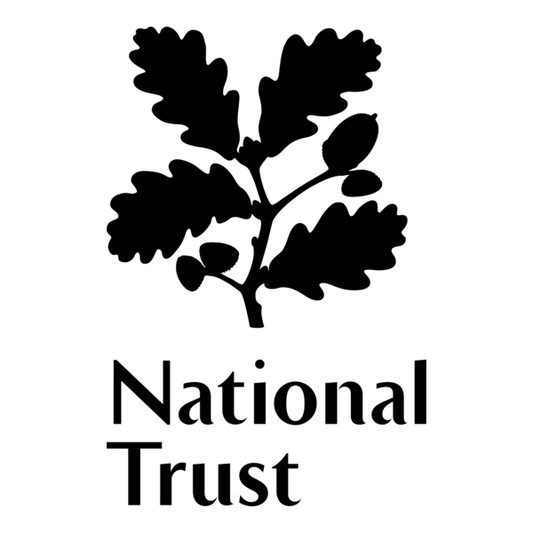 Fungi Forays within the National Trust’s Studland woodland