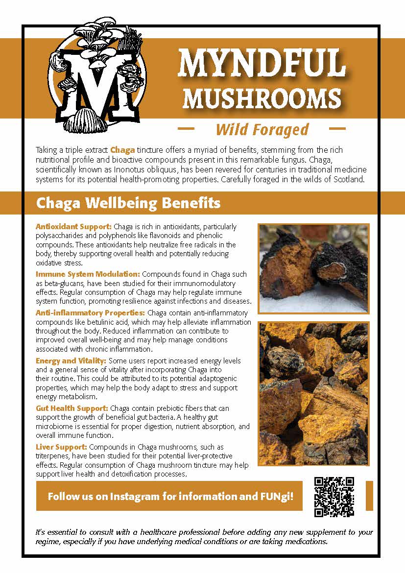 Myndful Mushrooms - Chaga TRIPLE EXTRACT TINCTURE 50ml