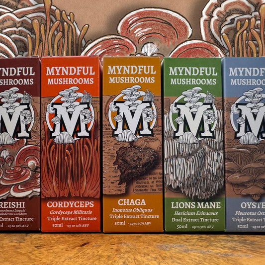 Myndful Mushrooms - THE MEGA FUNGAL BUNDLE