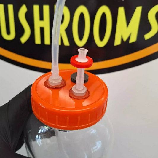 Advanced Liquid Culture lids