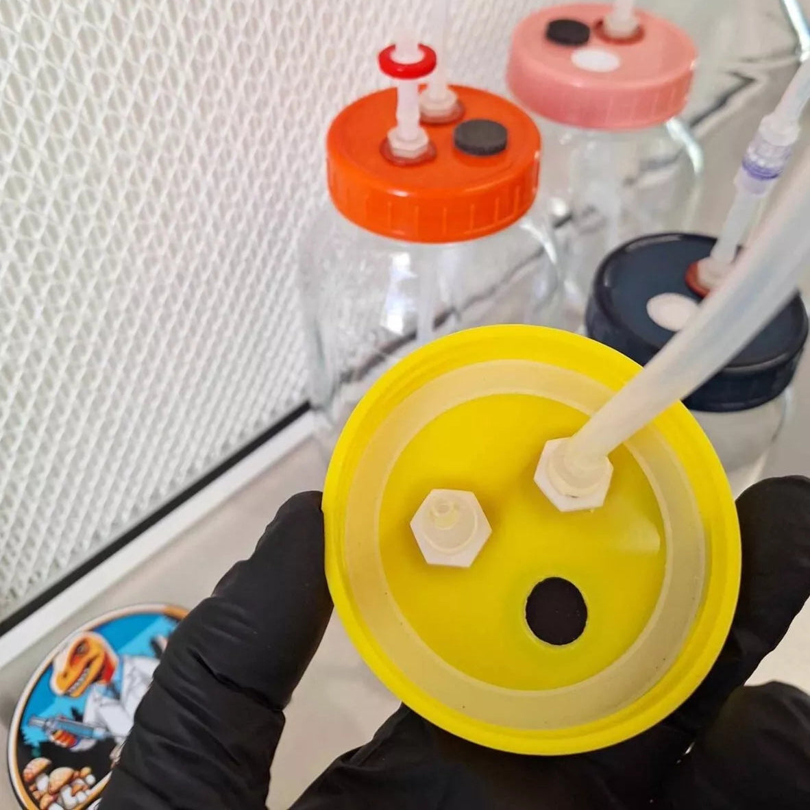 Advanced Liquid Culture lids