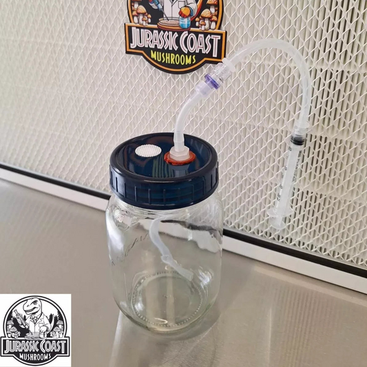 Spore Solution modified lids