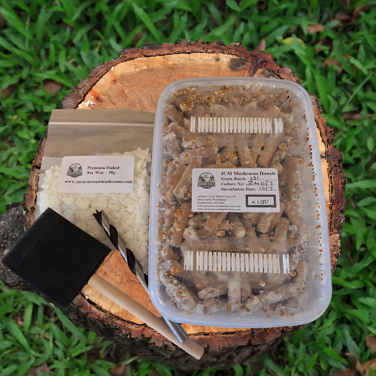 Mushroom Dowel Plug Kit – Jurassic Coast Mushrooms