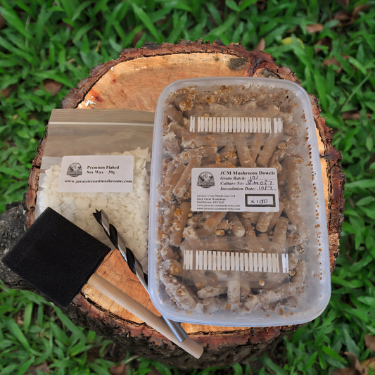 Mushroom Dowel Plug Kit